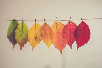 assorted-color lear hanging decor by Chris Lawton courtesy of Unsplash.